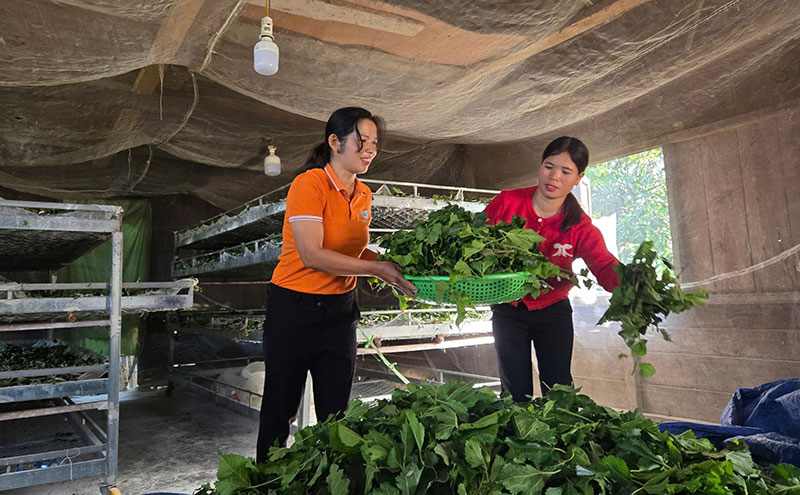 xoa-doi-giam-ngheo-1.jpg -0