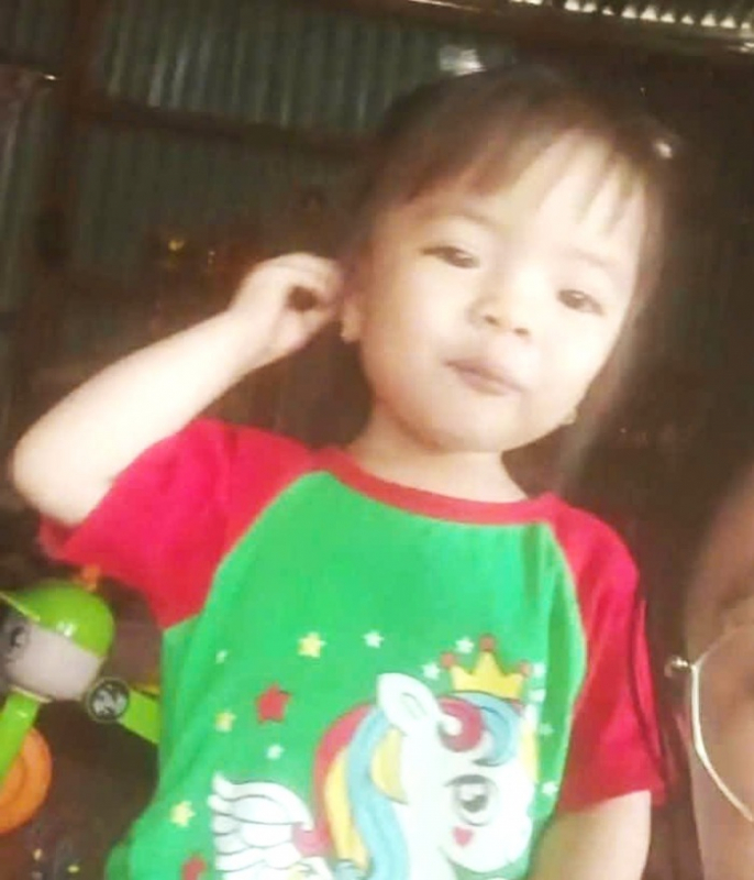 Nỗ lực tìm kiếm bé gái 2 tuổi mất tích bí ẩn ở Lâm Đồng -0