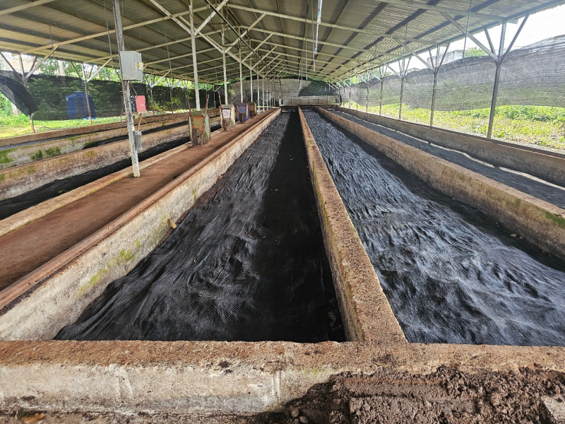 Công ty Cao su Bình Long phát huy truyền thống anh hùng trong sản xuất, kinh doanh -0