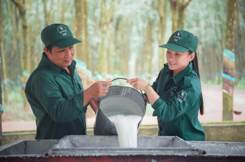 VRG: Tầm nhìn xa, chiến lược lớn và bước đi bền vững -0