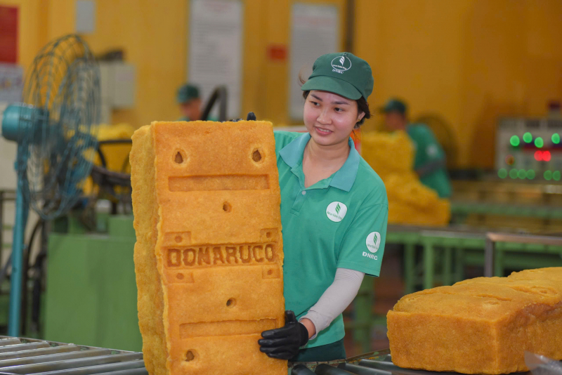 VRG: Tầm nhìn xa, chiến lược lớn và bước đi bền vững -0