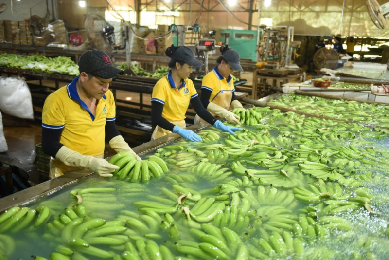 VRG: Đa dạng hóa chiến lược, đột phá hợp tác, dẫn đầu phát triển bền vững -0