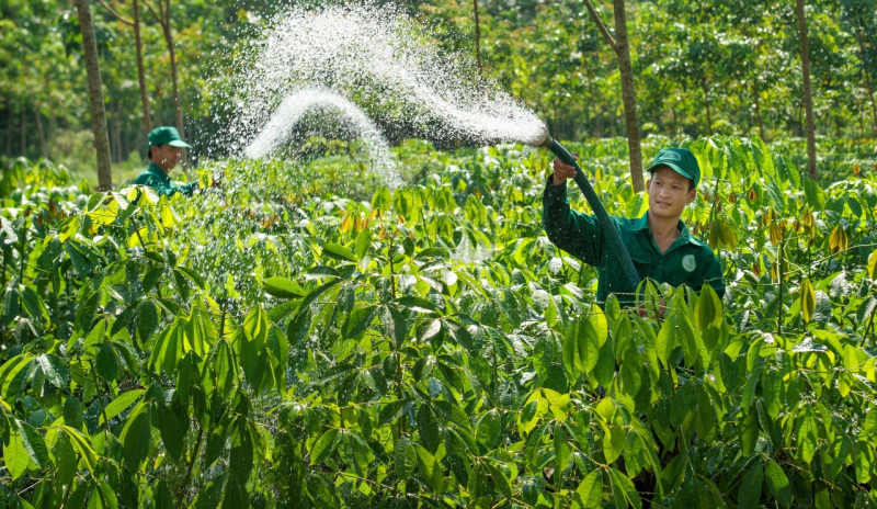 VRG: Đa dạng hóa chiến lược, đột phá hợp tác, dẫn đầu phát triển bền vững -0
