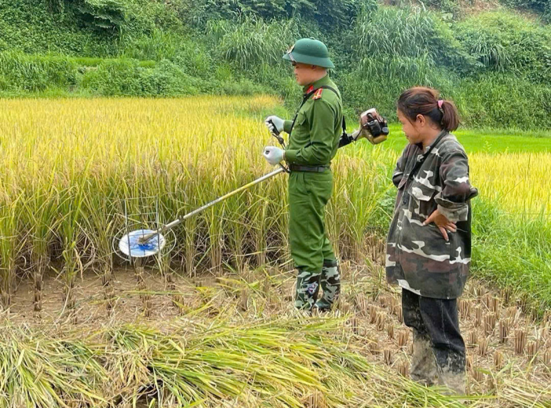 Lạng Sơn: Công an xã Tân Văn phối hợp hỗ trợ người dân thu hoạch lúa mùa vụ -1