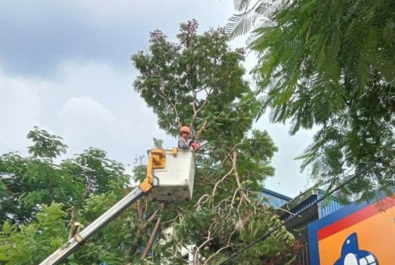 Hải Phòng kích hoạt hệ thống phòng, chống bão số 3 -0
