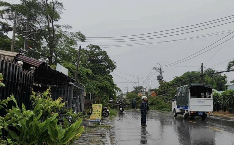 Giông gió giật cấp 9, mưa nhiều nơi khiến hàng loạt cây xanh đổ ngã -0