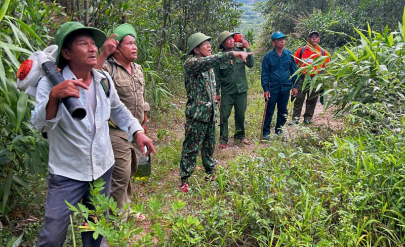 Gần 200 người tham gia khống chế vụ cháy khoảng 10ha rừng sản xuất tại Đà Nẵng -0