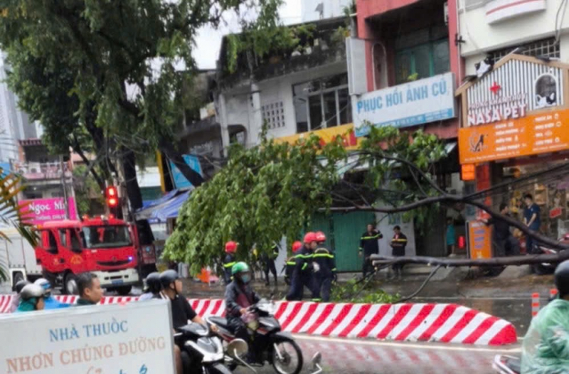 Giông gió giật cấp 9, mưa nhiều nơi khiến hàng loạt cây xanh đổ ngã -0