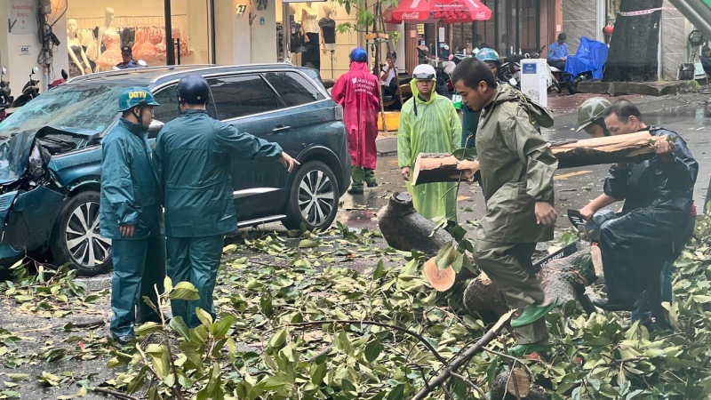 Giông gió giật cấp 9, mưa nhiều nơi khiến hàng loạt cây xanh đổ ngã -0