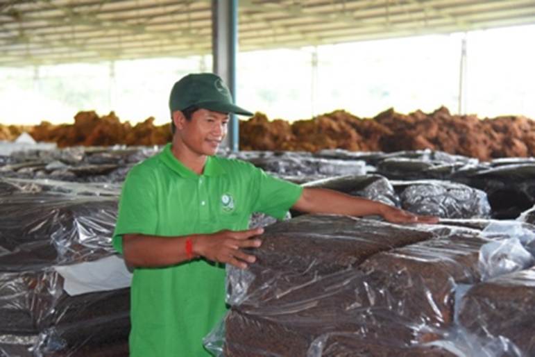 Những dấu ấn nổi bật của Đảng bộ Tập đoàn Công nghiệp Cao su Việt Nam -0