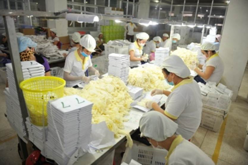 Những dấu ấn nổi bật của Đảng bộ Tập đoàn Công nghiệp Cao su Việt Nam -2