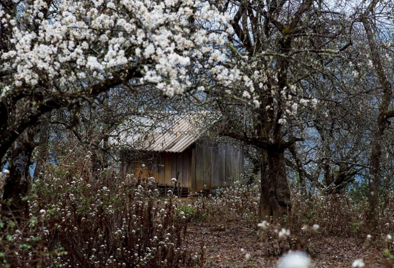 Nậm Nghiệp: Từ vùng đất bị lãng quên đến điểm sáng mới trên bản đồ du lịch Tây Bắc -0
