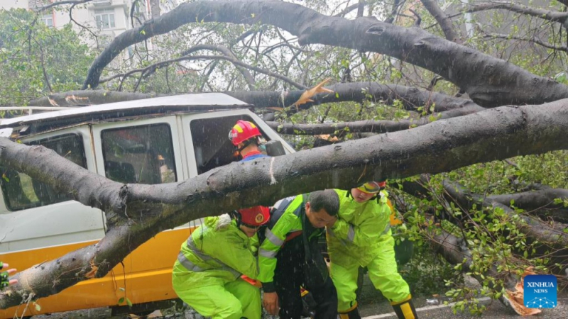 Cận cảnh sức tàn phá của bão Wipha khi đổ bộ Trung Quốc -0