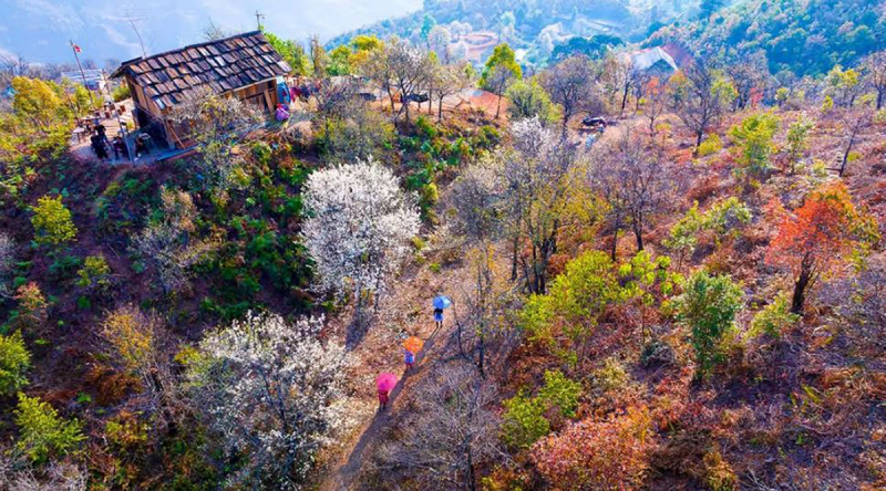 Nậm Nghiệp: Từ vùng đất bị lãng quên đến điểm sáng mới trên bản đồ du lịch Tây Bắc -2