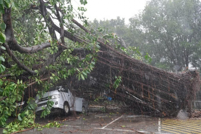 Cận cảnh sức tàn phá của bão Wipha khi đổ bộ Trung Quốc -0