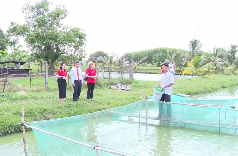 Vững bước lập nghiệp nơi vùng biên nhờ nguồn vốn từ Agribank -0