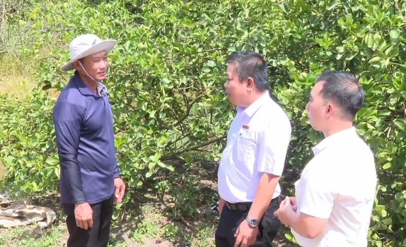 Vững bước lập nghiệp nơi vùng biên nhờ nguồn vốn từ Agribank -1