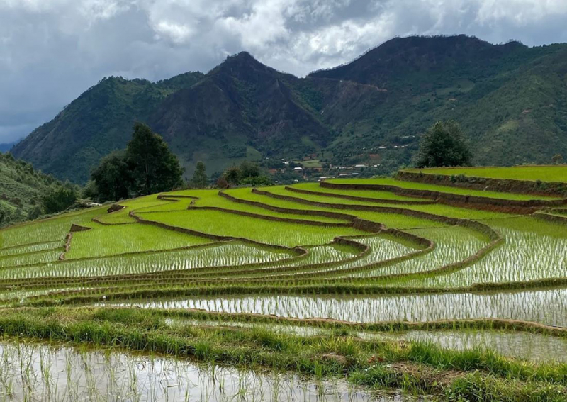 Nậm Nghiệp: Từ vùng đất bị lãng quên đến điểm sáng mới trên bản đồ du lịch Tây Bắc -0
