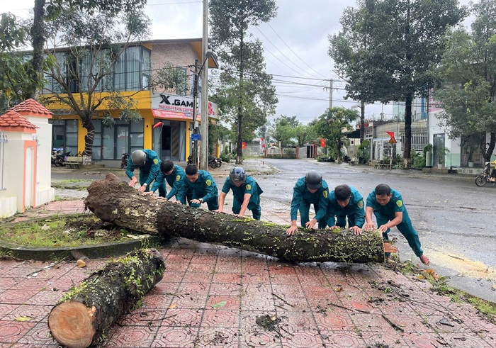 Gió mạnh khủng khiếp, cây đổ la liệt, ôtô bị đè bị hàng loạt -2