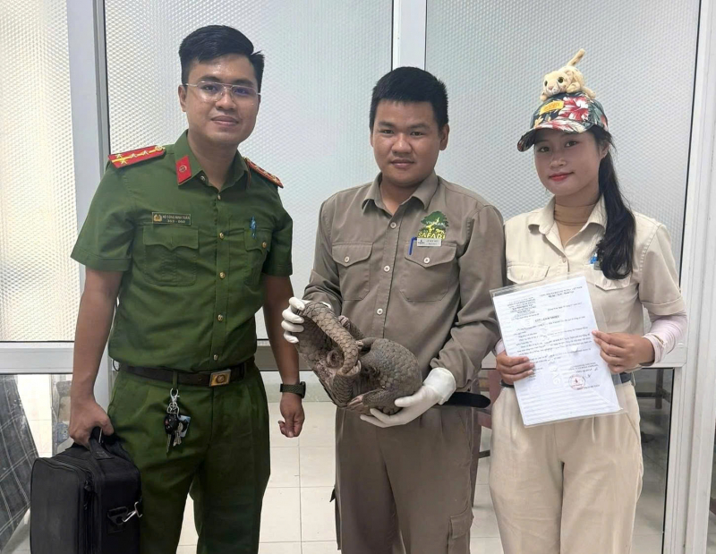 Phát hiện tê tê chuẩn bị đưa đi tiêu thụ