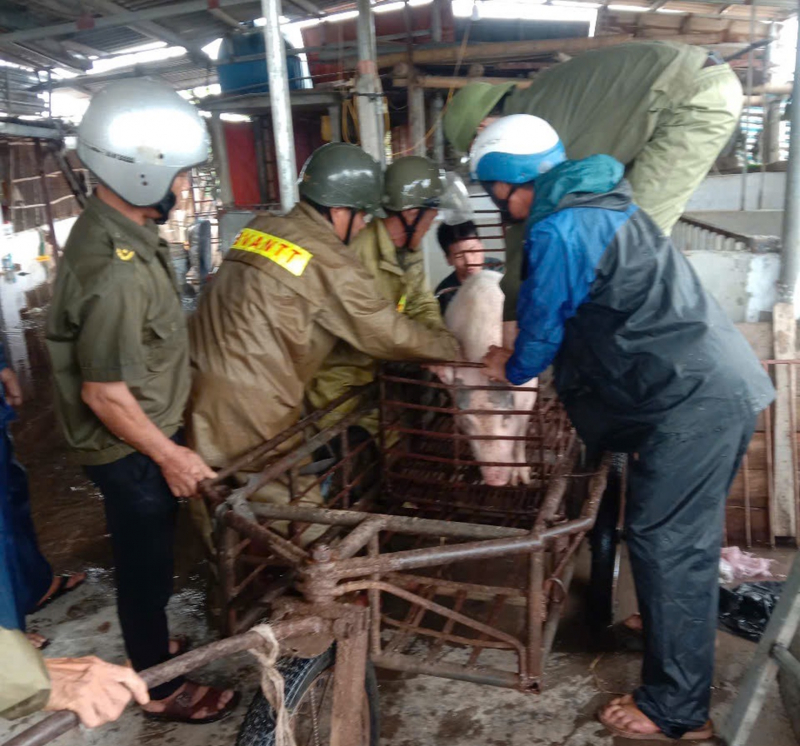 Khẩn trương khắc phục hậu quả vỡ đê ở Hải Phòng -0