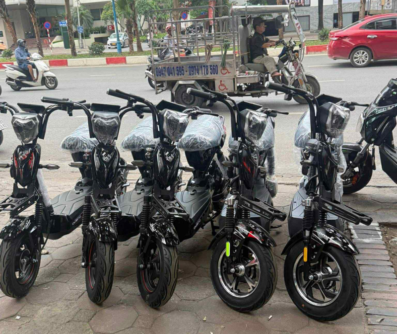 Bỏ tiền thật mua xe điện giả -0