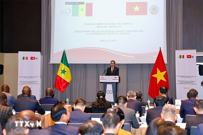 Việt Nam-Senegal thúc đẩy hợp tác thương mại và chế biến nông sản -0