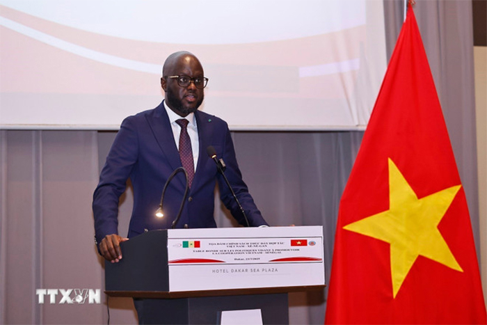 Việt Nam-Senegal thúc đẩy hợp tác thương mại và chế biến nông sản -0