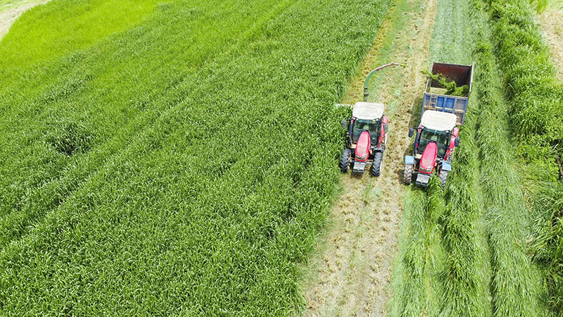 Trang trại Vinamilk Green Farm dưới lăng kính phát triển bền vững có gì đặc biệt? -0