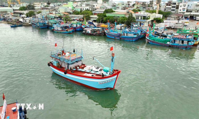 Thủ tướng cảnh báo trách nhiệm người đứng đầu nếu để tái diễn vi phạm IUU -0