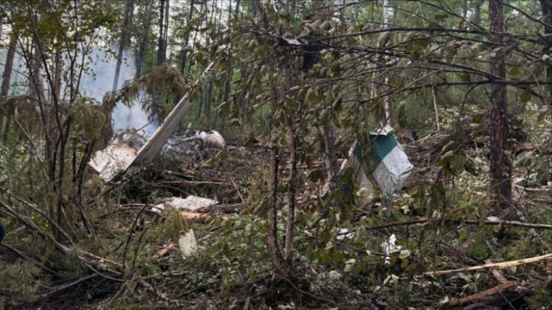 Điện thăm hỏi vụ tai nạn máy bay của Nga -0