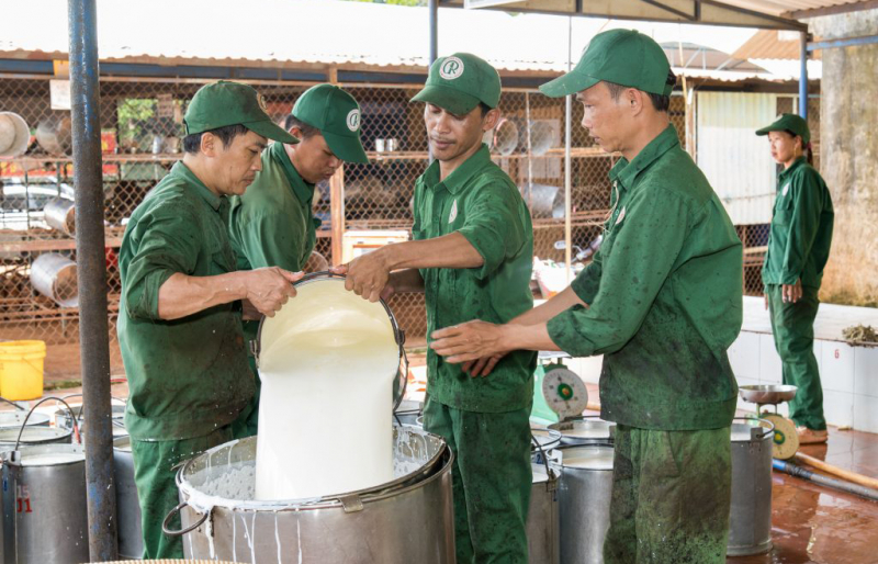Vững đà đổi mới, VRG tăng tốc về đích năm 2025 -0