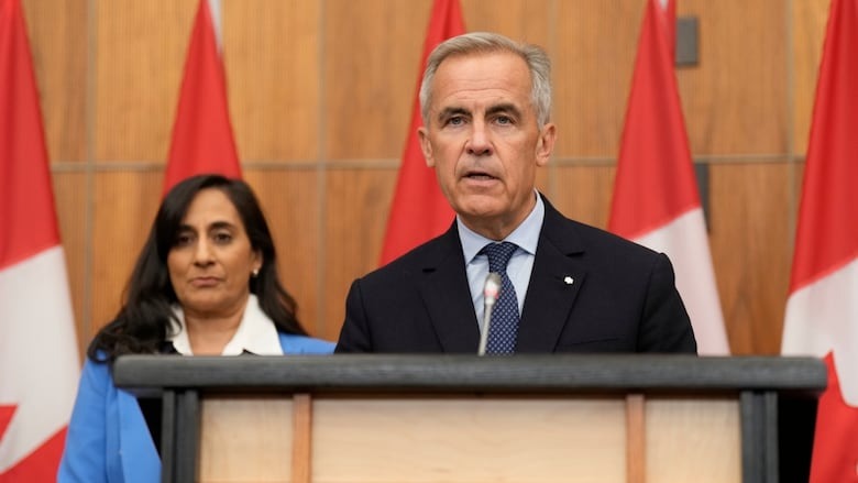 Canada tiếp bước Anh, Pháp trong việc công nhận Nhà nước Palestine -0
