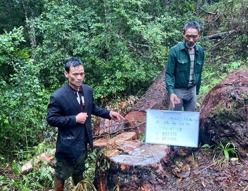 Bắt 4 lâm tặc sau phản ánh của Báo CAND -0