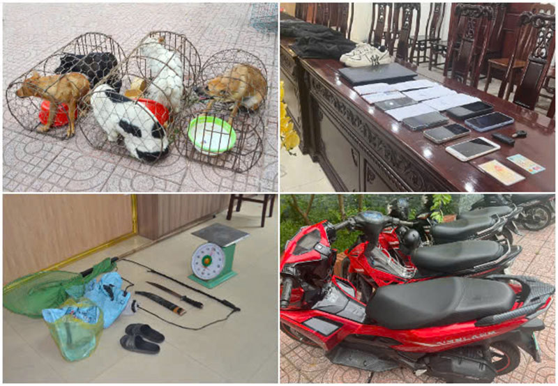Công an Nghệ An triệt xóa ổ nhóm trộm có hung khí, trộm và tiêu thụ hơn 2 tấn chó -0