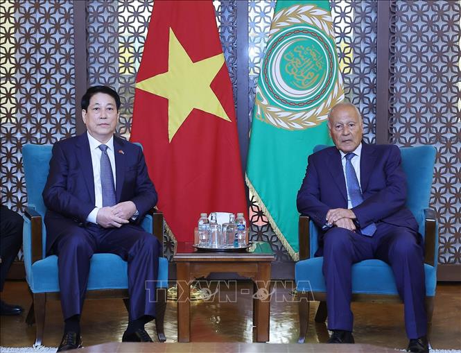 Chủ tịch nước Lương Cường thăm và phát biểu chính sách tại Liên đoàn Arập -0
