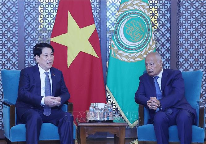 Chủ tịch nước Lương Cường thăm và phát biểu chính sách tại Liên đoàn Arập -0