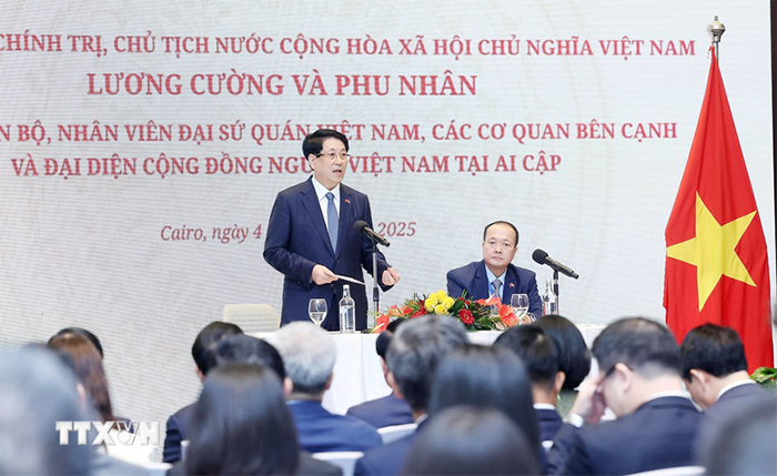 Chủ tịch nước gặp mặt cán bộ ĐSQ và cộng đồng người Việt Nam tại Ai Cập -0