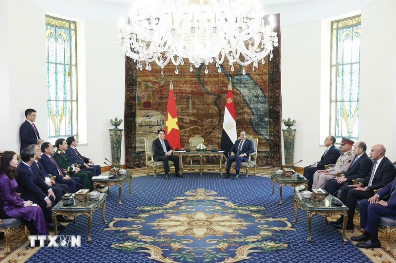 Việt Nam và Ai Cập nhất trí nâng cấp quan hệ lên Đối tác Toàn diện -0