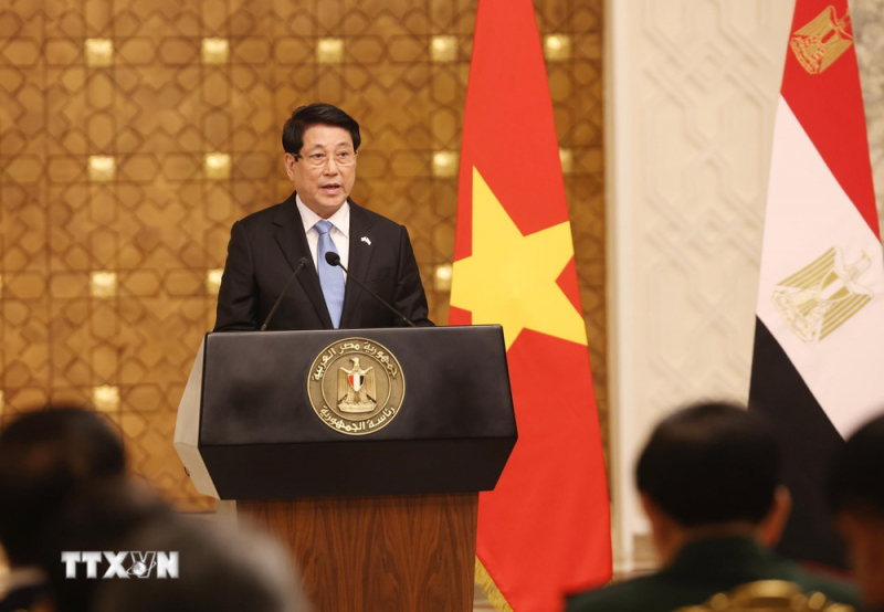 Việt Nam và Ai Cập nhất trí nâng cấp quan hệ lên Đối tác Toàn diện -0