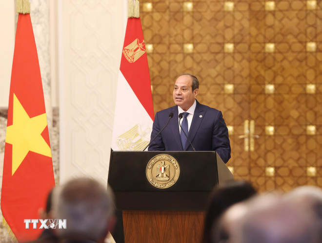 Tuyên bố chung Việt Nam-Ai Cập về nâng cấp quan hệ lên Đối tác Toàn diện -0