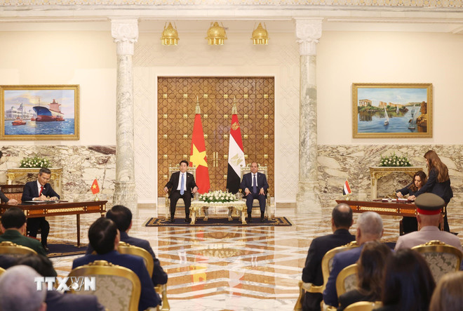 Tuyên bố chung Việt Nam-Ai Cập về nâng cấp quan hệ lên Đối tác Toàn diện -0