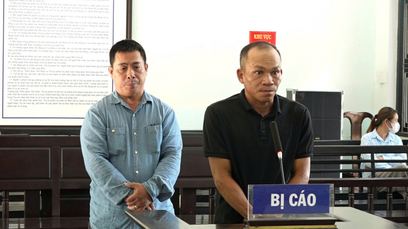 Làm giả hàng loạt giấy phép lái xe, 2 bị cáo lãnh án -0