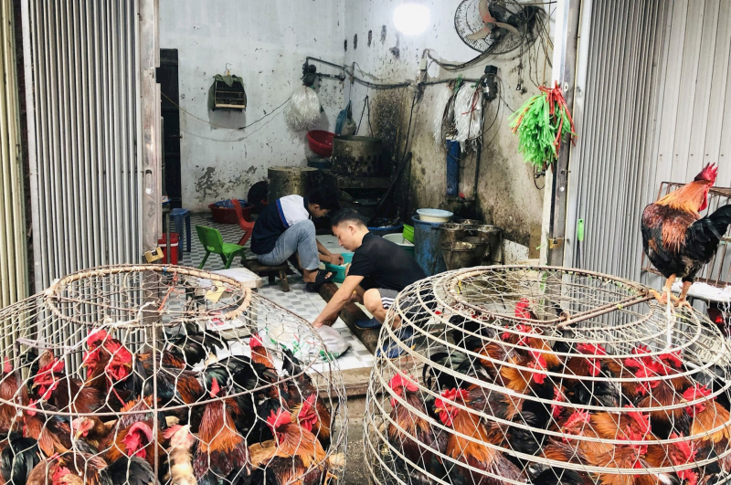 Hà Nội ra thời hạn xử lý dứt điểm 700 điểm giết mổ gia súc, gia cầm trong khu dân cư -0