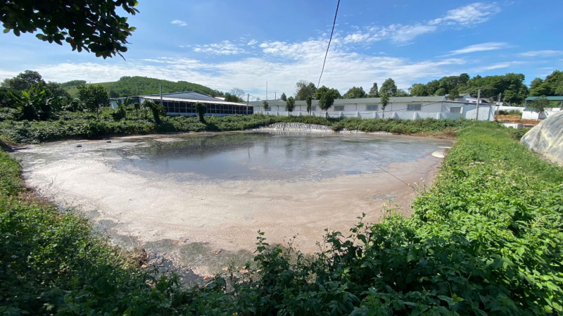 Cụm trang trại chăn nuôi lợn bị phạt hơn 1 tỷ đồng vì gây ô nhiễm môi trường -0