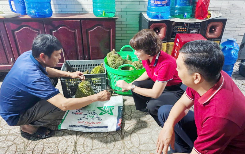 Agribank chi nhánh Hậu Giang: Điểm tựa vững chắc cho nông dân phát triển cây sầu riêng bền vững -0
