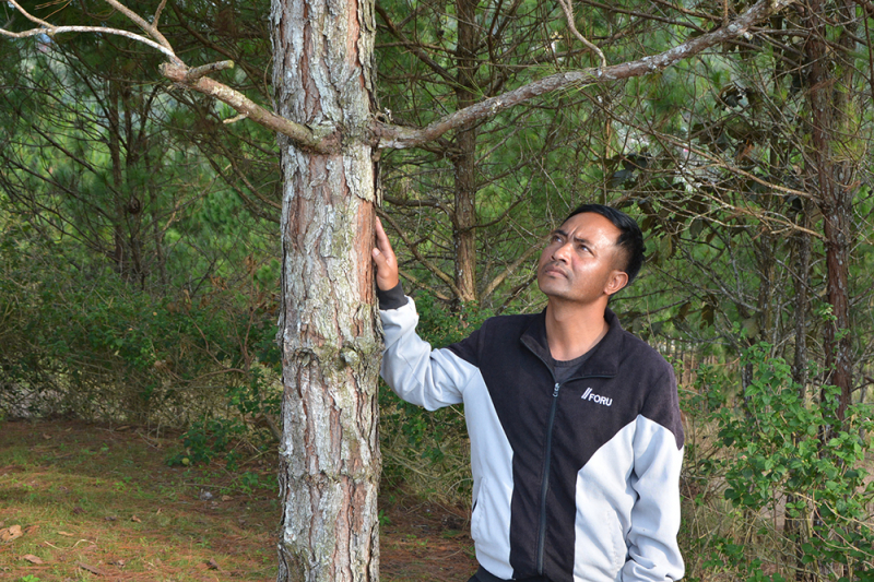 Samten Hills Dalat góp phần “đánh thức” vùng đất khô cằn -0