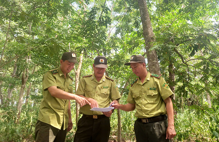 Gian nan cuộc chiến bảo vệ rừng đặc dụng Krông Trai -0
