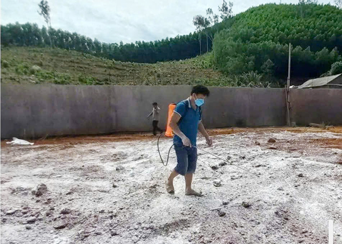 Bắt giữ, tiêu hủy hơn 100 tấn heo đông lạnh đã bốc mùi, nổi đốm trên da -0