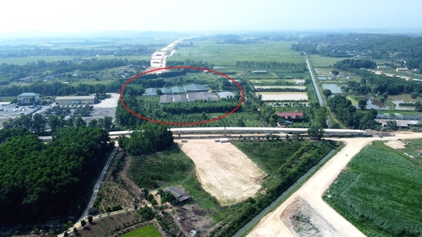 Trangtrai_1-1754843787348.jpg